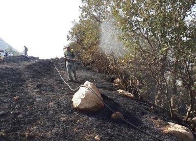 15 هکتار از جنگل های منطقه حفاظت گردیده کوسالان در آتش سوخت