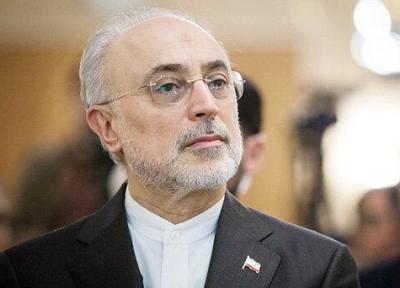 صالحی: توقف تعهدات ایران در صورت اجرای کامل برجام توسط طرف های مقابل قابل برگشت است