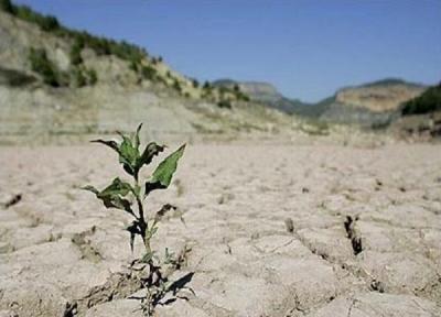 خبرنگاران رییس جهادکشاورزی: خشکسالی در لرستان تهدید جدی است