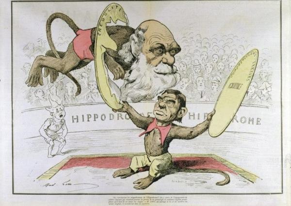 کاریکاتور های طنزآمیز قدیمی دربارۀ داروین و نظریۀ تکامل