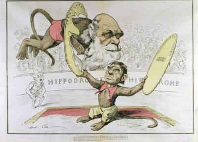 کاریکاتور های طنزآمیز قدیمی دربارۀ داروین و نظریۀ تکامل