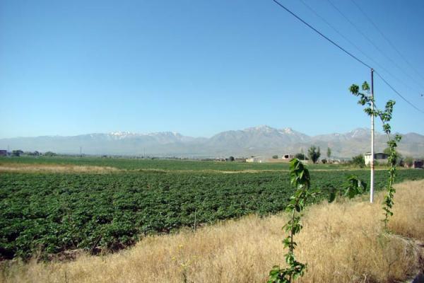 کشف آثار قرون میانه دوره اسلامی در گنج تپه لرستان