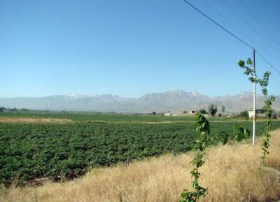 کشف آثار قرون میانه دوره اسلامی در گنج تپه لرستان